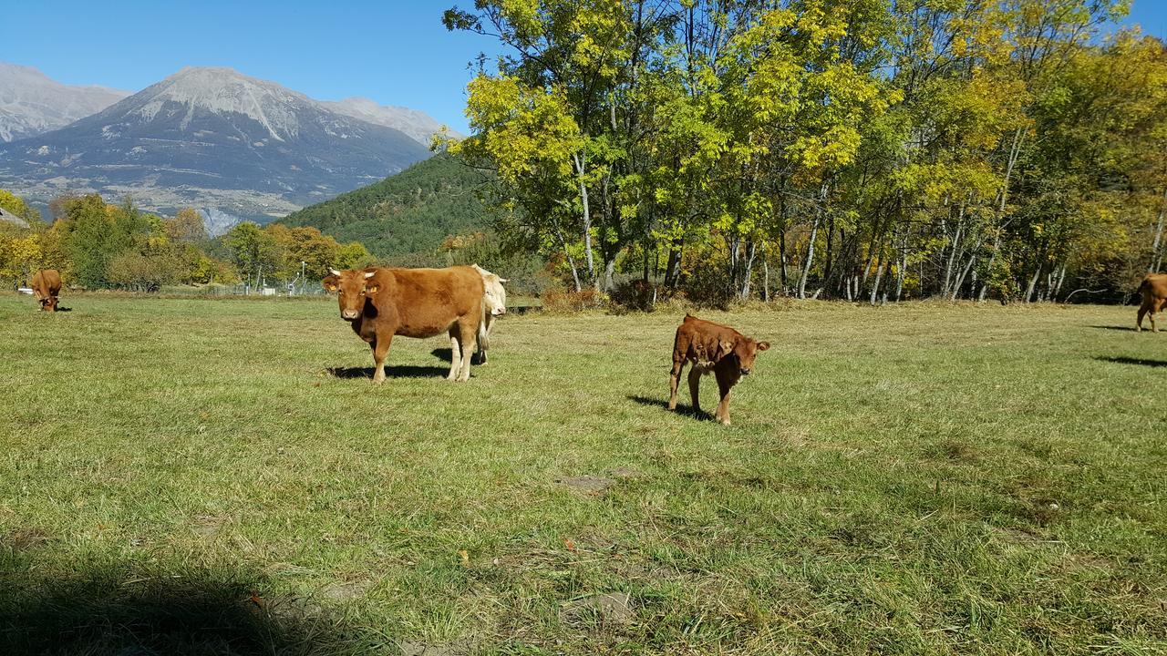 Gite De Boscodon Crots Dış mekan fotoğraf